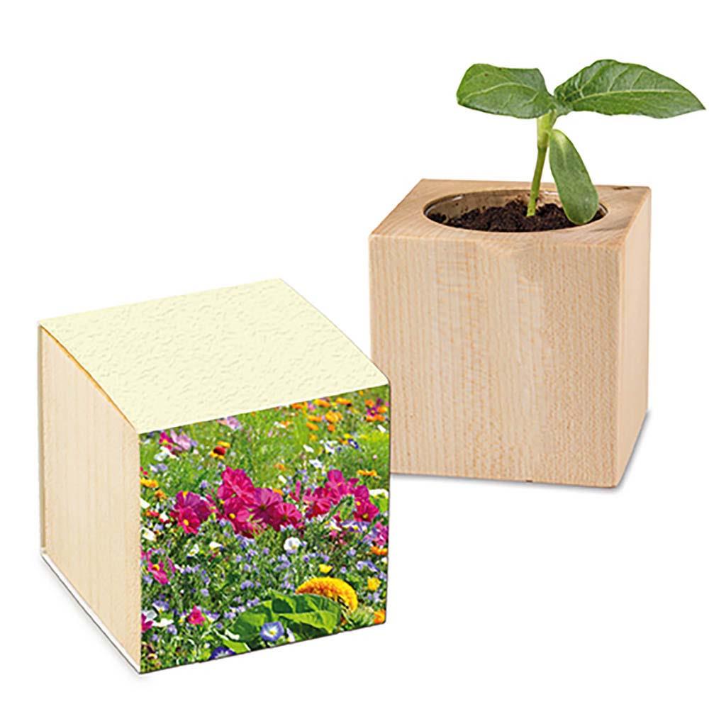 Pflanz-Holz Graspapier - Sommerblumen