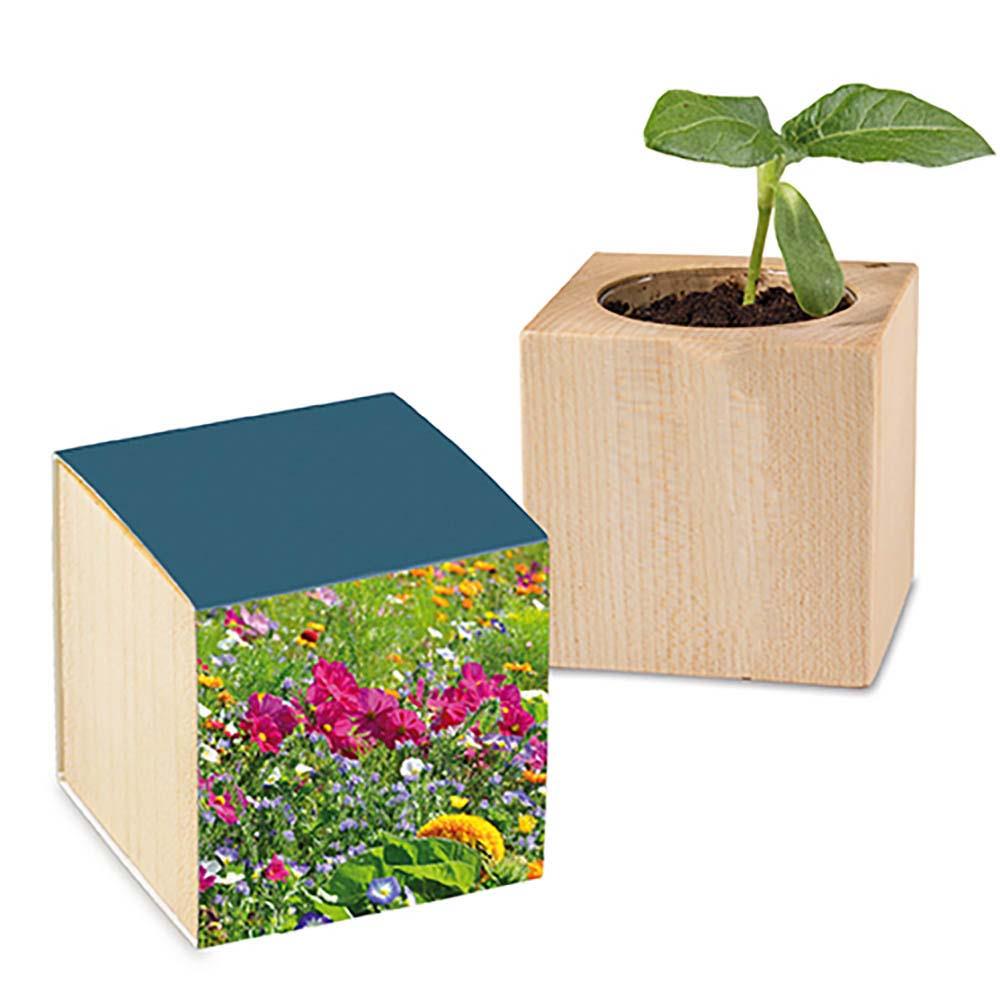 Pflanz-Holz Standardpapier - Sommerblumenn