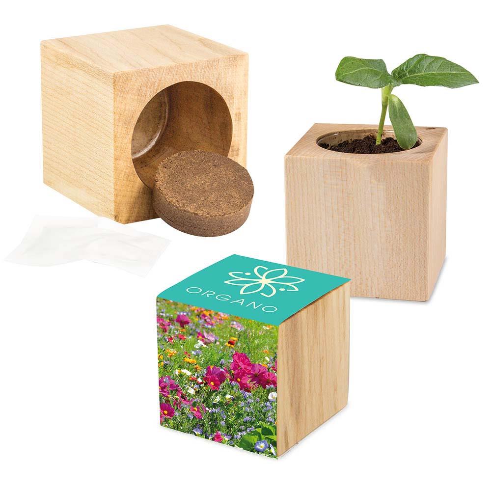 Pflanz-Holz Maxi inkl. 1 Seite gelasert - Sommerblumen