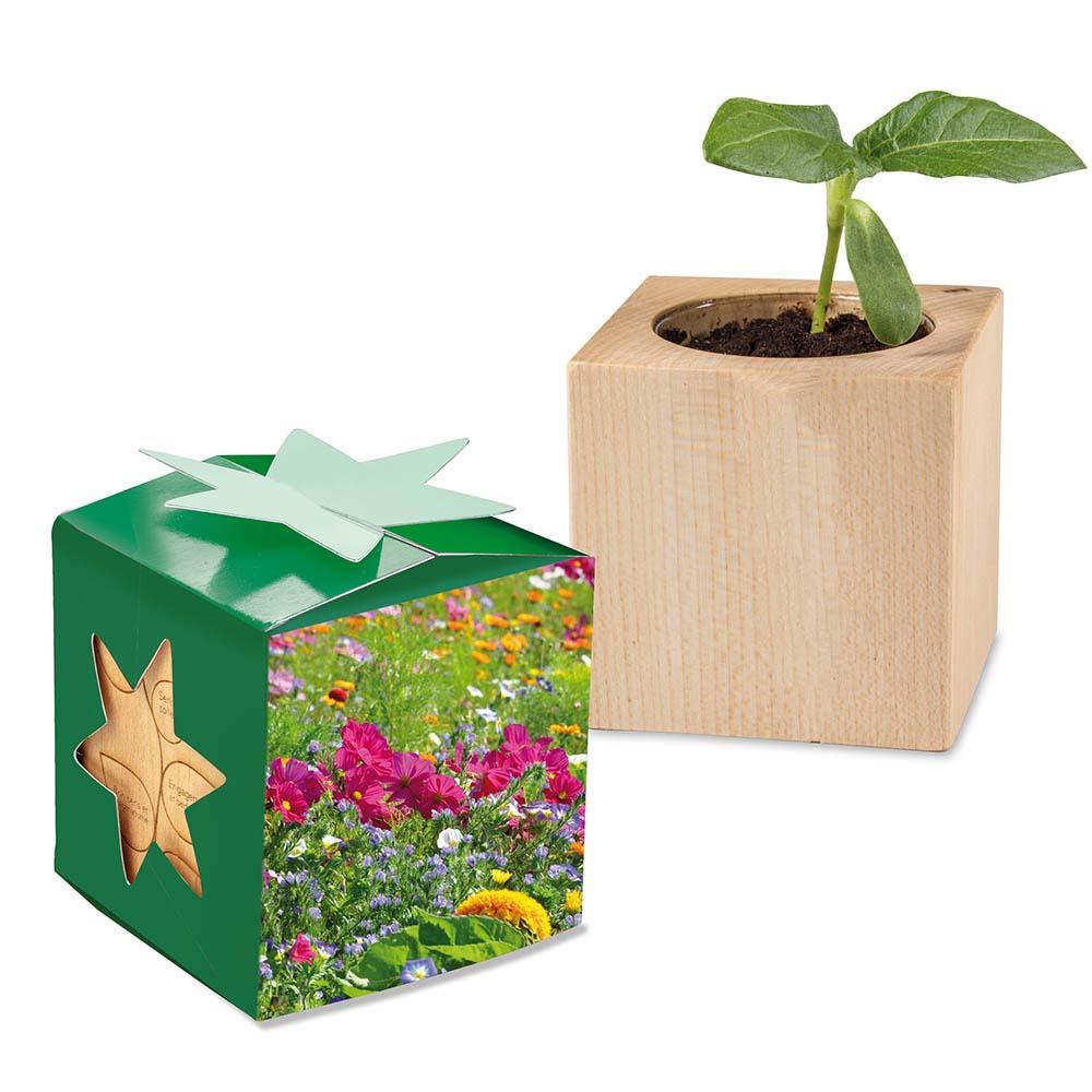 Pflanz-Holz Star-Box - Sommerblume, 2 Seiten gelasert