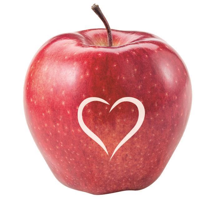 LogoFrucht Apfel rot mit Herz